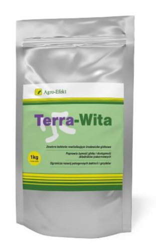 terra witta.png