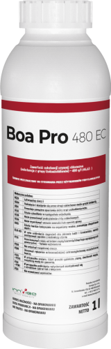 BoaPro_1l.png