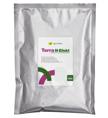 Terra N-Efekt.png