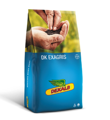 DK EXAGRIS WOREK.png