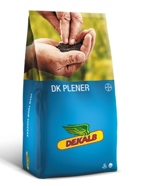 DK plener worek.png