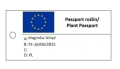 Magnolia 'Alicja' NOWOŚĆ!  Janusz Radecki