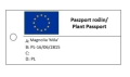 Magnolia 'Mila' NOWOŚĆ!  Janusz Radecki