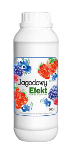 Jagodowy Efekt