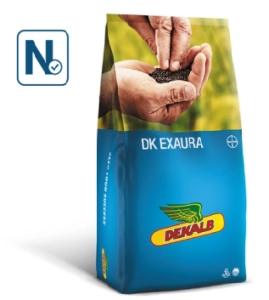 DK Exsprint